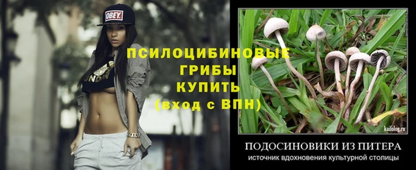соль ск Абаза