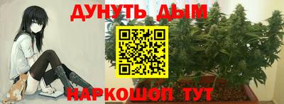 Альфа ПВП Абакан